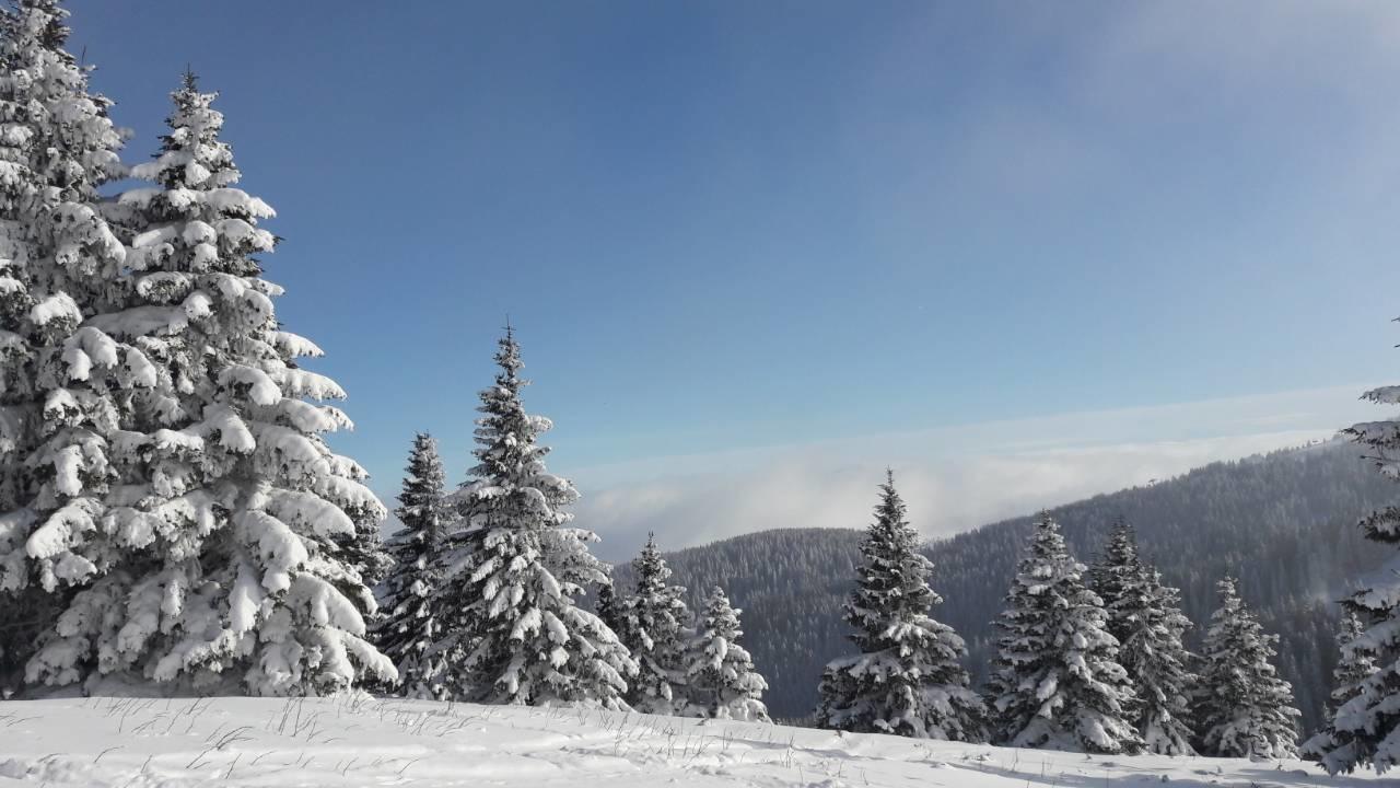 Lux Apartman B1 Milmari Kopaonik Extérieur photo
